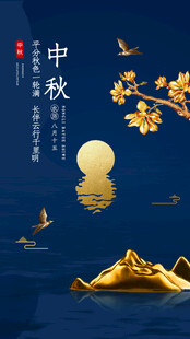 中秋节日海报展板