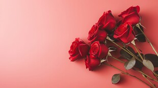 红玫瑰礼物蝴蝶结情人节素材图片