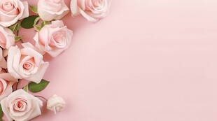 红玫瑰礼物蝴蝶结情人节素材图片