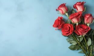 红玫瑰礼物蝴蝶结情人节素材图片