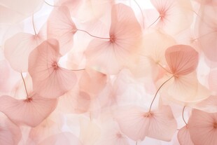 清爽鲜花花瓣花朵露珠背景图