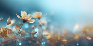 清爽鲜花花瓣花朵露珠背景图