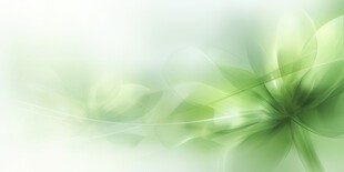 清爽荷叶叶子四叶草铜钱草露珠