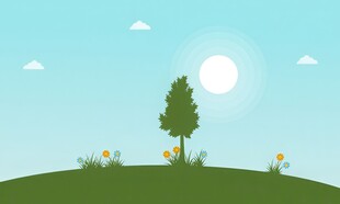 春光明媚户外风景鲜花草地