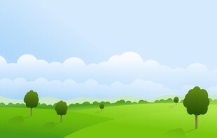 春光明媚户外风景鲜花草地