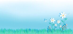 春光明媚户外风景鲜花草地