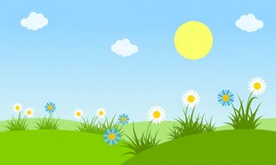 春光明媚户外风景鲜花草地