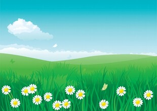 春光明媚户外风景鲜花草地