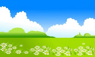 春光明媚户外风景鲜花草地