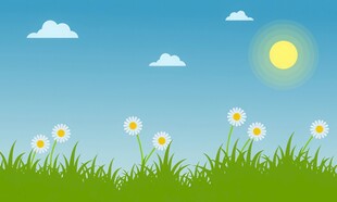 春光明媚户外风景鲜花草地