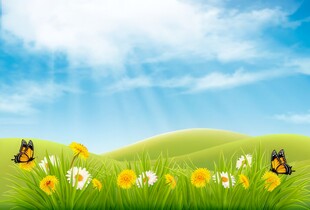 春光明媚户外风景鲜花草地