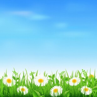 春光明媚户外风景鲜花草地