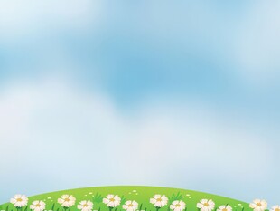 春光明媚户外风景鲜花草地