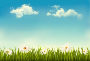 春光明媚户外风景鲜花草地