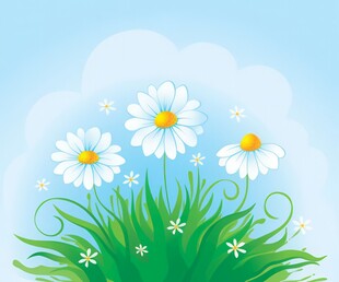 春光明媚户外风景鲜花草地