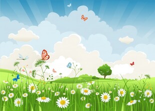 春光明媚户外风景鲜花草地