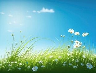 春光明媚户外风景鲜花草地