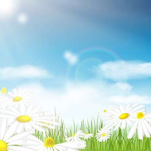 春光明媚户外风景鲜花草地