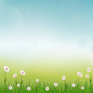 春光明媚户外风景鲜花草地