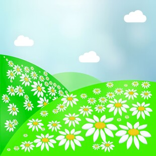 春光明媚户外风景鲜花草地