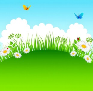 明媚清晨鲜花蝴蝶菊花叶子草地图