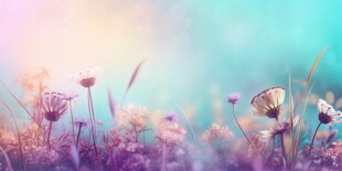 明媚清晨鲜花蝴蝶菊花叶子草地图