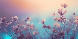 明媚清晨鲜花蝴蝶菊花叶子草地图