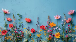 明媚清晨鲜花蝴蝶菊花叶子草地图