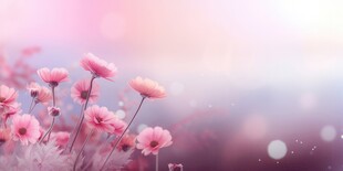 明媚清晨鲜花蝴蝶菊花叶子草地图