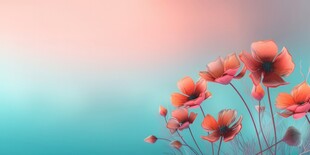 明媚清晨鲜花蝴蝶菊花叶子草地图