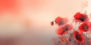 明媚清晨鲜花蝴蝶菊花叶子草地图