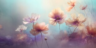 明媚清晨鲜花蝴蝶菊花叶子草地图