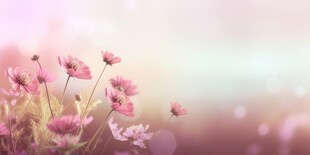 明媚清晨鲜花蝴蝶菊花叶子草地图