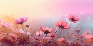 明媚清晨鲜花蝴蝶菊花叶子草地图