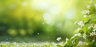 明媚清晨鲜花蝴蝶菊花叶子草地图