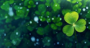 明媚清晨四叶草叶子草地图