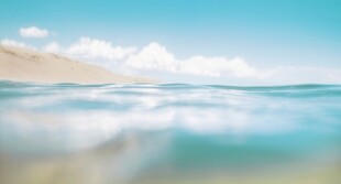 海滩景色云椰子树大海沙滩