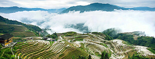 龙脊梯田