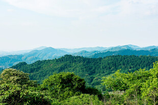 龙泉山