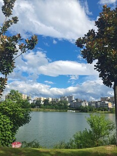 公园绿化 风景摄影