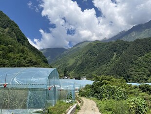 山区旅游