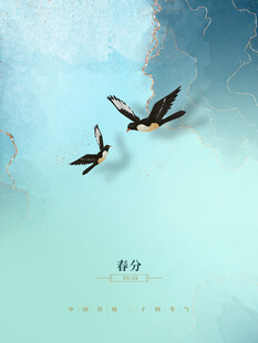 春分节气宣传海报展板