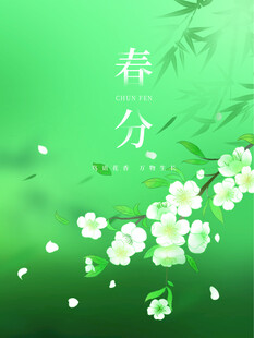 春分节气宣传海报展板