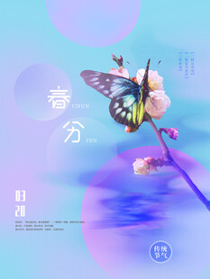 春分节气宣传海报展板