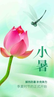 小暑节气宣传海报展板
