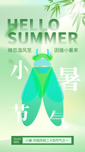小暑节气宣传海报展板