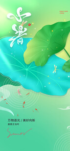小暑节气宣传海报展板