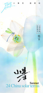 小暑节气宣传海报展板