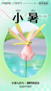 小暑节气宣传海报展板