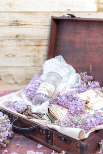 丁香花素材壁纸